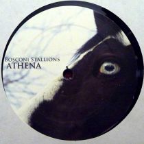 Various Artist - Bosconi Stallions Athena