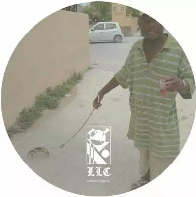 Various Artist - Dragged-Shed Impressions