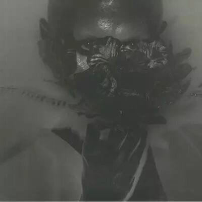 WHITE MANE HORSE / DEPUTY BENDER / UHU / THEORY OF NOISE / OLLOY / RNBWS - Apophenia