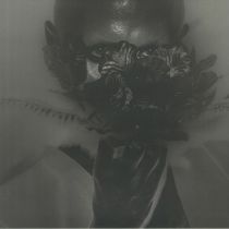 WHITE MANE HORSE / DEPUTY BENDER / UHU / THEORY OF NOISE / OLLOY / RNBWS - Apophenia